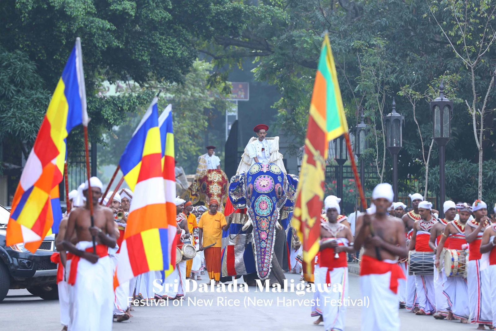 temple of tooth ceremony 1